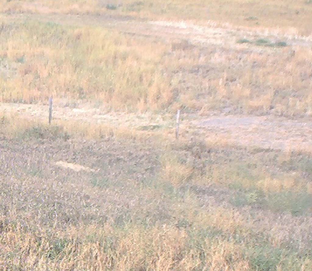 Doug Newman - The Sandhill Waltz